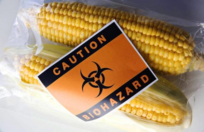 800 Scientists Demand Global GMO “Experiment” End