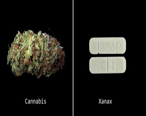 Cannabis could replace these 5 prescription drugs by Satyapriya