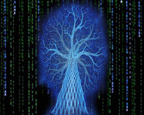 Matrix Deprogramming and Prohibition of Nature’s Red Pill