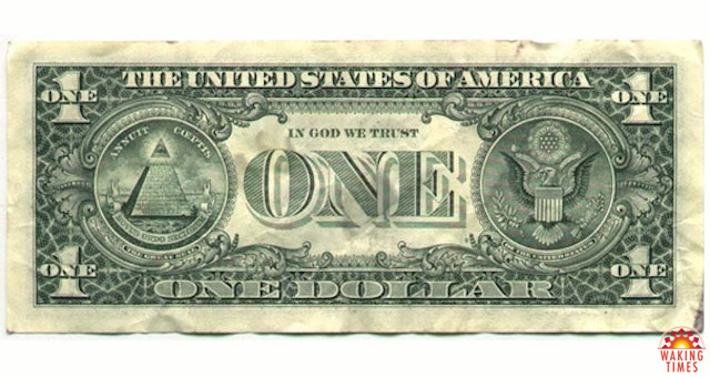 US-Dollar-Back