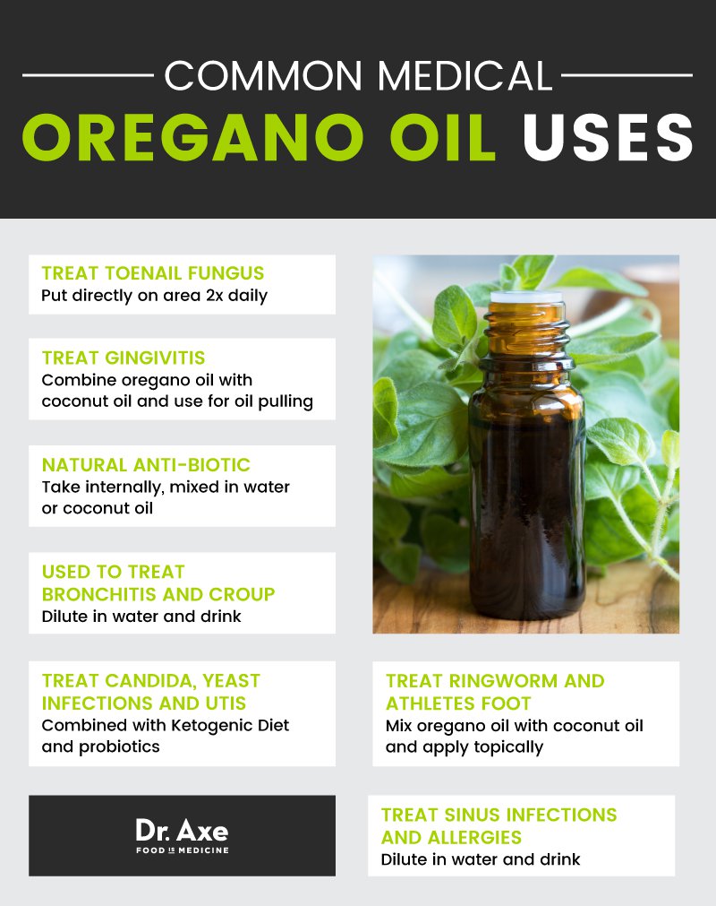 oregano-health-benefits-uses-and-side-effects