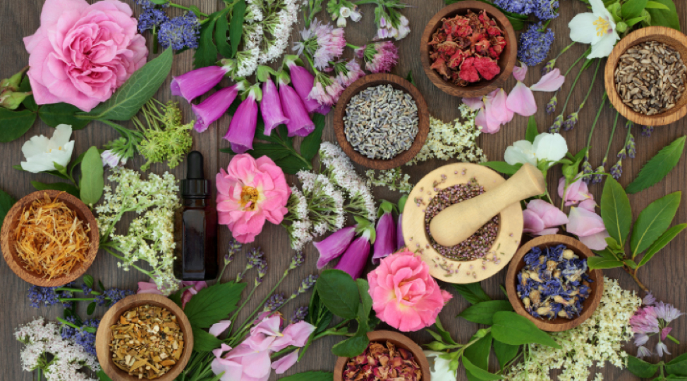 Solutions You Can Find Through Naturopathic Medicine