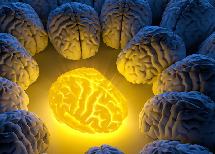 How WHOLE Turmeric Heals The Damaged Brain