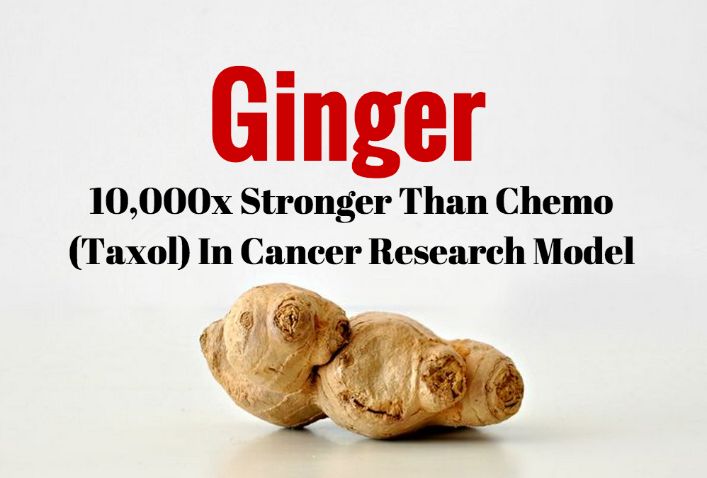 Ginger: 10,000x Stronger Than Chemo in Cancer Research Model