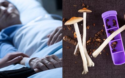 PSYCHEDELICS COULD REVIVE PEOPLE FROM VEGETATIVE STATES