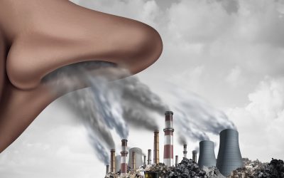 YALE STUDY SHOWS AIR POLLUTION CAUSES “HUGE” REDUCTION IN INTELLIGENCE
