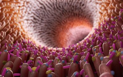 New Insights on Gut Permeability and Depression