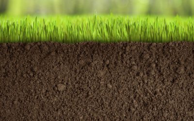 The Little Known Miracle of Life: Fulvic acid