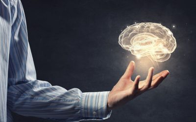 Brain Regeneration: Why it’s Real & How to Do it