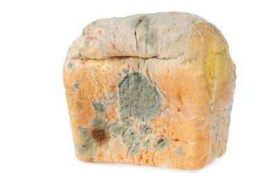 Wheat: 200 Clinically Confirmed Reasons Not To Eat It