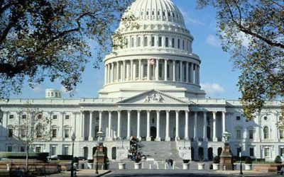 How to Make the Government Your Friendly Servant Using the Power of Words