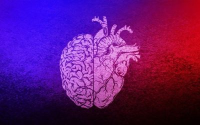 Scientists Discover That The Heart & Brain Respond To Future Events – Before They Happen