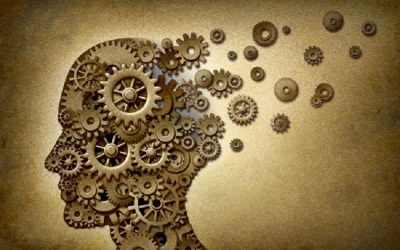 A whole branch of science turns out to be fake