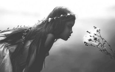 Blessed Are Those Who Feel Too Much