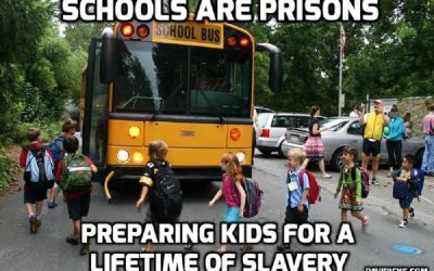 School “Quiet Rooms”: Solitary Confinement For Children