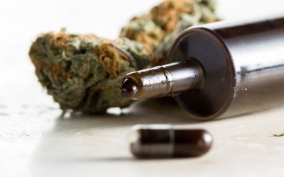 Cannabidiol (CBD): The Cat’s Out of the Bag with This Cure-All