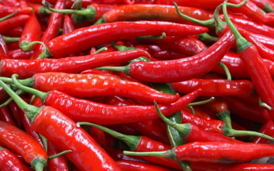 Study Finds That Eating Chili Peppers Significantly Cuts Risk of Heart Attack and Stroke