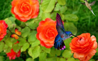 MY WORK IS LOVING THE WORLD