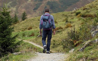 Doctors Explain How Hiking Actually Changes Our Brains