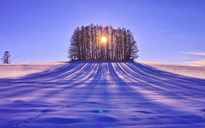 Winter Solstice and the Importance of Natural Cycles