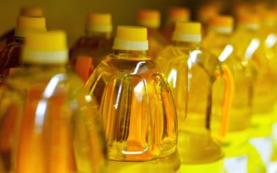 Soybean Oil Found to Cause Genetic Changes in the Brain Affecting Depression and Obesity