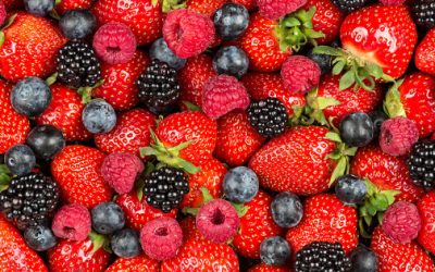 Berries Drive Brain Health, Keep Aging at Bay by GreenMedInfo
