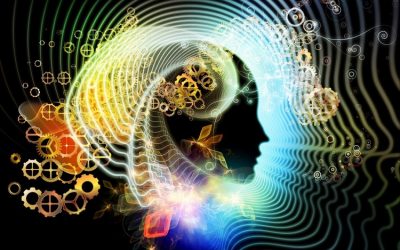 YEAR AHEAD 2020: A CONSENSUS REALITY MELTDOWN