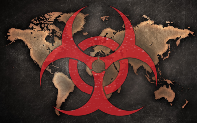 China epidemic—implications for America and other countries