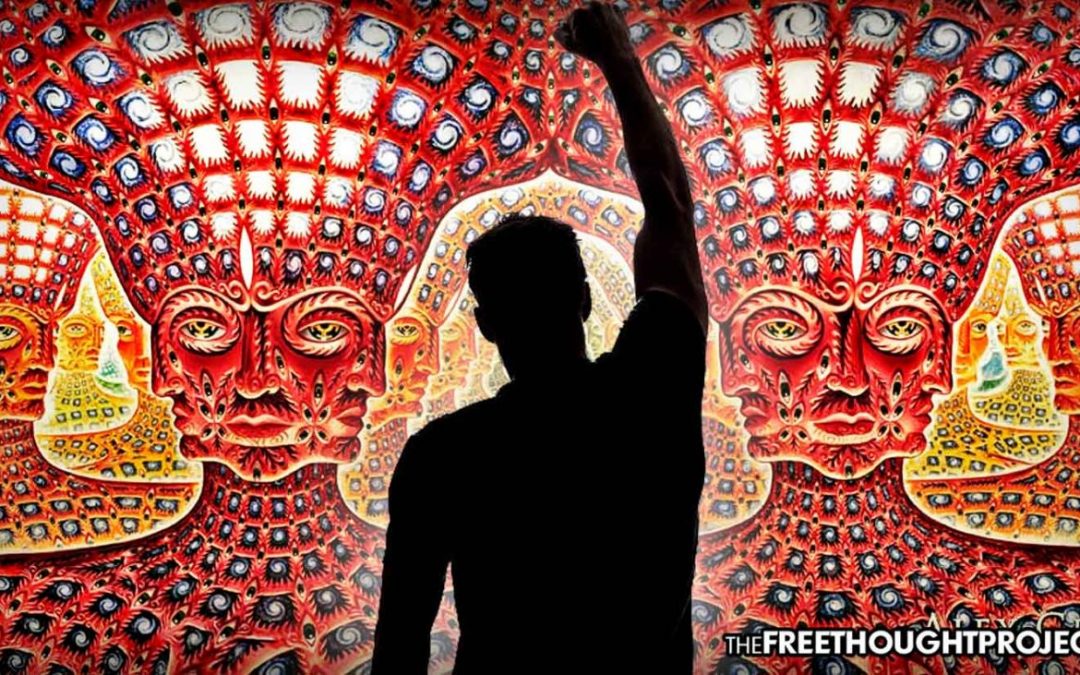 Santa Cruz Just Voted to Tell Cops to Stop Arresting People for Mushrooms, Ayahuasca…