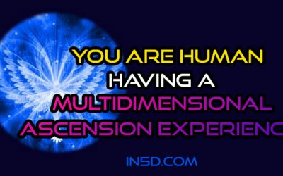 You Are Human Having a Multidimensional Ascension Experience