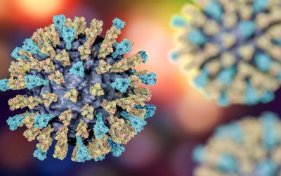 Natural Protection Strategy Against Viruses, Including the Coronavirus