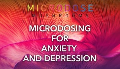 Microdosing Mushrooms for Anxiety and Depression