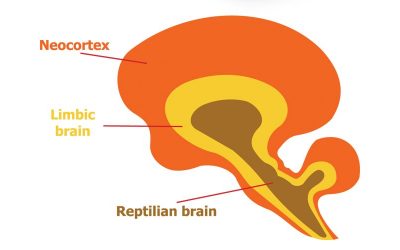 The Solution to Breaking Free from the Reptilian Brain