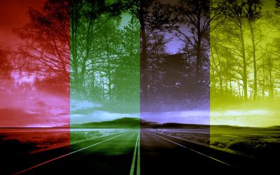 Parallel Worlds and Timelines