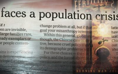A Stunning Admission on the So-Called Population Crisis
