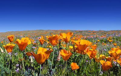 “Fear of inner self-change is one of the cruelest hoaxes ever played on mankind.