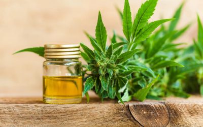 Experts discover cannabidiol has antibiotic properties