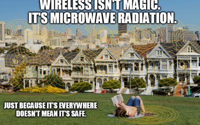 Reducing Vulnerability to Illness Requires Reducing Pollution — Including “Electrosmog,” WiFi, and 5G