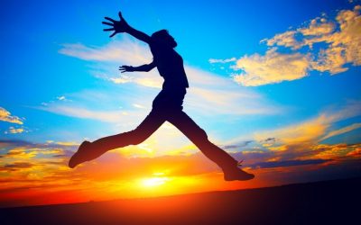 The Packaging of Abundance by Sonia Barrett