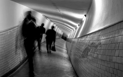 The Erosion of Perception – Consensus Reality Meltdown 2 – D. Kingsley