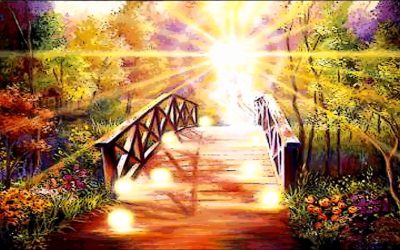 Walk On Warrior – Walk On