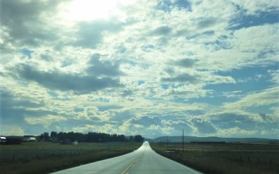 The Big Picture and the Battle Ahead: Two Reviews