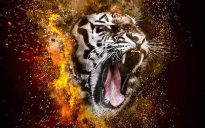 Anger and Rage in Times of Crisis & How to Use These Energies for Transformation