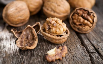 Eating Walnuts Preserves Youthful Telomere Strands