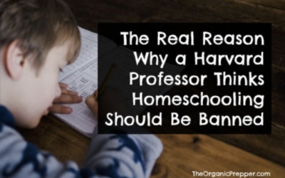 The Real Reason Why a Harvard Professor Thinks Homeschooling Should Be Banned