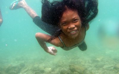 The Aquatic Ape Theory