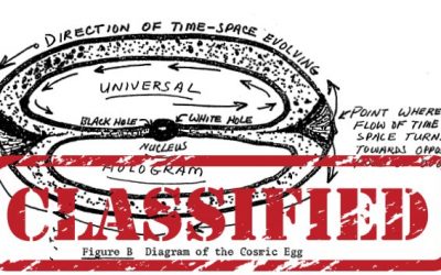 DECLASSIFIED: CIA Explains Consciousness, The Matrix, Meditation, Holograms, Telepathy