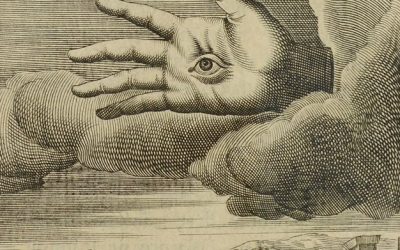 A TERRAIST LETTER TO  ​INSIGHT 2020