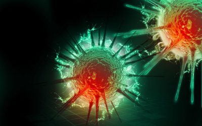 Natural Herbal HPV “Cure” Discovered