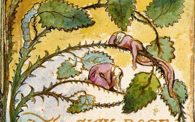 The Sick Rose By Michael Tsarion